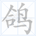 鸽