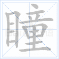 瞳