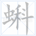 蝌