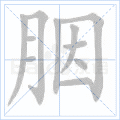 胭