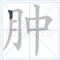 肿