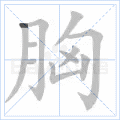 胸