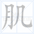 肌