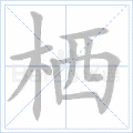 栖
