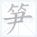 笋