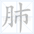 肺
