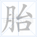 胎