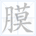 膜