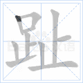 趾