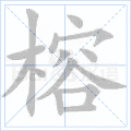 榕