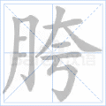 胯
