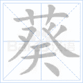 葵