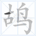 鸪