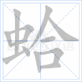 蛤
