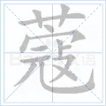蔻