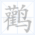 鹳