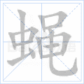 蝇