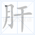 肝