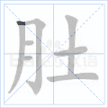 肚