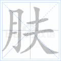 肤