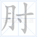 肘