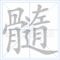髓