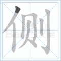 侧