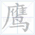 鹰
