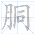 胴