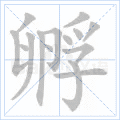 孵