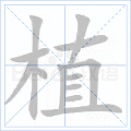 植