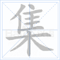 集