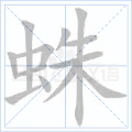 蛛