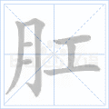 肛