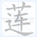 莲