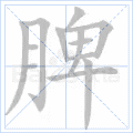 脾