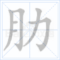 肋
