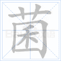菌