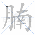 腩