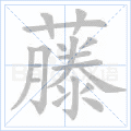 藤