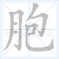 胞