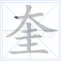 奎