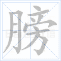 膀